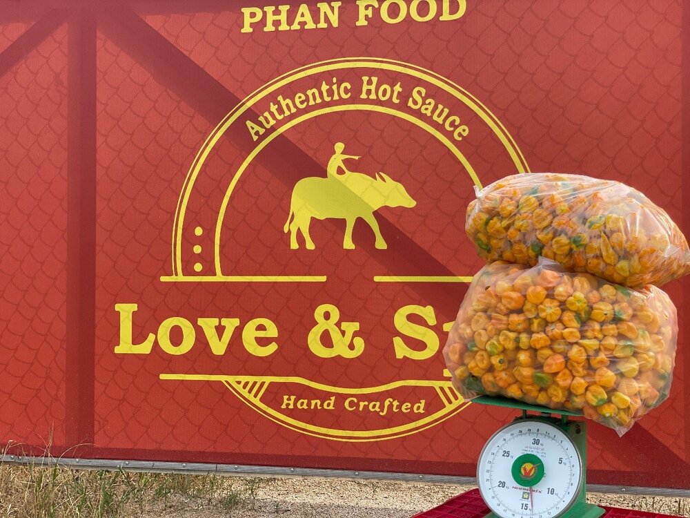 Chất lượng sản phẩm